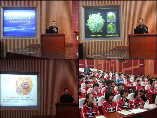 点击查看源文件