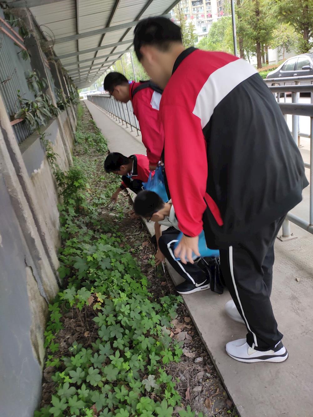 fca11db094234a9ebe074a218340455d.jpg fca11db094234a9ebe074a218340455d.jpg