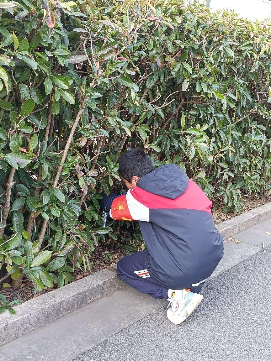 552c2e038395450b9e7a390698fddbf2.png 552c2e038395450b9e7a390698fddbf2.png