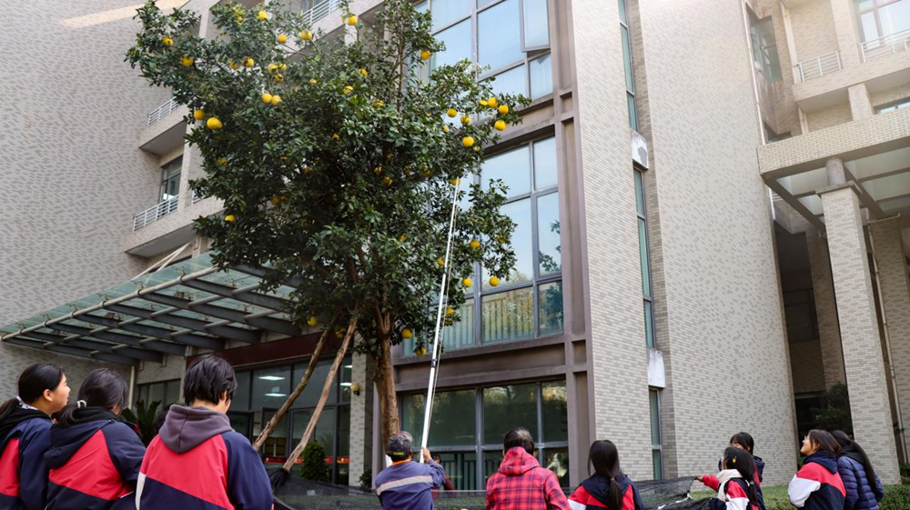 586c8a2cef314467b2f705b687294388.png 586c8a2cef314467b2f705b687294388.png