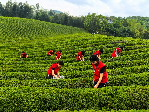 9b1a25fed4184656b4dc7cc9ad36f128.png 9b1a25fed4184656b4dc7cc9ad36f128.png