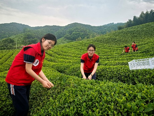 ec1f7877c7164b078e15124e67735a07.png ec1f7877c7164b078e15124e67735a07.png