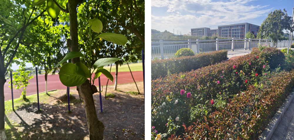 c9037b5d0b81462eb6267b719370e5b9.png c9037b5d0b81462eb6267b719370e5b9.png